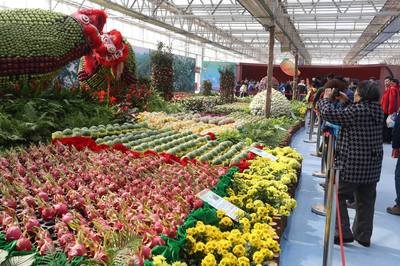 臺灣特色農產品首次亮相北京農業(yè)嘉年華