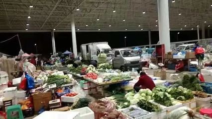 樂清市新地標落成 占地58畝農副產品批發市場12日盛大開業